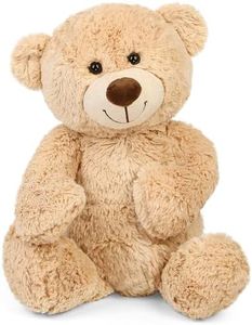 BenBen Ted