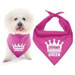 Parisian Pet Dog Bandanas with Printed 'Drama Queen' - Pink Dog Bandana - Tie-On Adjustable, Polyester Dog Bandana Large Breed - Washable Triangle Female Bandana Bibs - Handkerchief for Pets - L