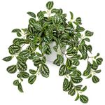 Arborus Fake Plants Indoor Artificial Potted Silk Plants Faux Watermelon Peperomia Trailing Vine Plant for Home Office Livingroom Desk Shelf Mantle Decoration(Green/White - 1 Pack)