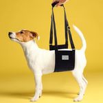 Pally Pets' Products Cushioned Dog Sling For Back Legs, Hip Support Harness To Help Lift Rear For Canine Aid Old K9 Cruciate Ligament Rehabilitation-Medium, Black