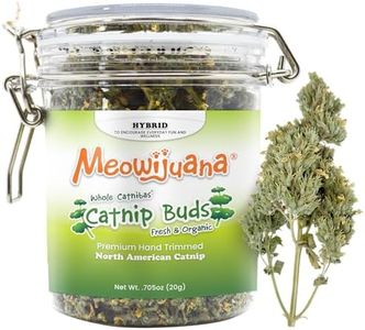 Meowijuana
