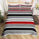 Red Black Stripes Bedding Set Queen,Lines Art Comforter Cover for Boys Girls,Kids Simplicity Duvet Cover Set Modern Stripes Bedspread Cover Fashion Teens Bedroom Decor 3 Pcs Bed Collection