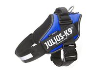 Julius-K9, 16IDC-B-4, IDC Powerharness, dog harness, Size: 4, Blue