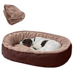 DRILLY Premium Fur Washable Dog/cat with Blanket Fur Orthopedic Bed for Small|Medium| Large| extralarge|XXL |3XL |4XL Size Dogs|Cats|Puppy|pet|Rabbit| persiancat |Indoor cat (M)