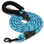 Nylon Dog Leash