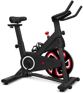 Lifespan Fitness SM-120 Spin Bike with Automatic Magnetic Resistance
