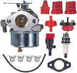 Mikatesi 640169 Carburetor for Tecu