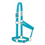 Weaver Leather 35-7435-TU Basic Adjustable Chin and Throat Snap Halter, 1-Inch Average Horse, Turquoise