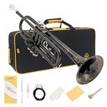 Yasisid Bb Standard Trumpet Set, Brass Adults Play Western Wind Instruments for Beginners or Advanced Students, with Hard Case, Cleaning Kit, 7C Mouthpiece, Cloth and Gloves (Black Plated)