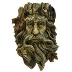 Bits and Pieces - Old Man Tree Hanging Planter - Polyresin Sculpture Made to Look Like Wood - Suitable to Hang Indoors or Outdoors