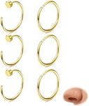 Thunaraz 6pcs Nose Ring 316L Surgical Steel Fake Nose Ring Fake Nose Piercing Gold Septum Piercing Nose Rings Helix Hoop Cartilage Conch Rook Daith Earrings Lip Rings Thin Nose Hoop 22G Gold 8MM