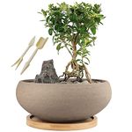 MUZHI Round Unglazed Ceramic Bonsai Pot with Bamboo Tray, Large Rough Pottery Succulent Planter with Drainage Hole 8 inch