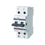 Anchor by Panasonic UNO Series 25 Amp Dual Pole MCB Type Change Over Switch | 2 Pole C Curve MCB (White, 98081)