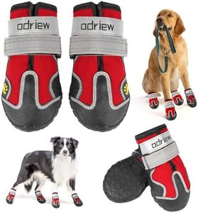 ODRIEW Dog