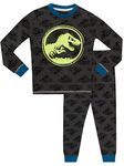 JURASSIC WORLD Boys' Glow in The Dark Pajamas Size 8 Grey