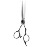 AOLANDUO Barber Scissor (6 Inch)-Extremely Sharp-Offset Design Using Japanese JP440C Stainless Steel Hair Cutting Scissor for Salon Stylists- Smooth Motion Fine Craftsmanship Barber Shears (Modern)…