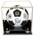 BCW Soccer/Volley Ball Display With