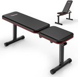 PASYOU Flat Weight Bench 2 in 1 Fla