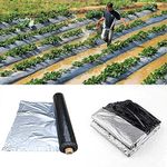 Buildingshop Mulching Sheet for Agriculture - (30 Micron (1.2 Mtr X 400 Mtr)) Virgin Raw Material Mulch Film for Agriculture Ground Cover Mulch Film to Grow Premium Fruits & Vegetables