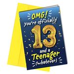 Boys / Girls 13th Funny Happy Birthday Card | Officially a Teenager Thirteen - Thirteenth Birthday #71