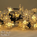 Homehop Solar String Light 30 Led Lotus Shape Waterproof Rechargeable Decorative Wall lamp for Home, Garden, Balcony and Trees Warm Color(6.5M Pack of 4)