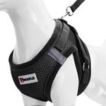 WOOFLIX Dog Harness for Small Dogs, Puppies and Cats | Suitable for Small Size Dogs, Cats & Puppies of 2.5kg -4.5kg | Reflective Soft Padded Dog Harness with Secure Fit | Black (2.5kg-4.5kg Dog & Cat)