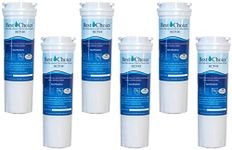 Best Choice Water Filter BCF48 Compatible With Fisher & Paykel 836848 Refrigerator Replacement Cartridge E402B, E442B, E522B, RF90A180DU, EFF-6017A (6-Pack)