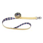 Coastal Sublime 6' Dog Leash, Yellow Chevron with Aztec, 1-Inch