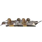 Avian X 8082 Topflight Pintail Duck Decoys, 6 Pack, Multi, One Size