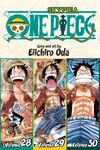 One Piece (Omnibus Edition), Vol. 10: Includes vols. 28, 29 & 30 (Volume 10)