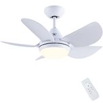 Newday Ceiling Fan with Lights, 30'' Small Modern Ceiling Fan with 5 Reversible Blades, Remote Controls, Adjustable Color Temperature for Indoor, White