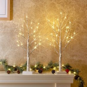 Eambrite 2ft Birch Twig Tree Lights – LED Decorative Tabletop