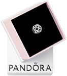 Pandora Jewelry Infinite Shine Ster