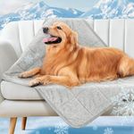 LOOBANI Dog Cooling Blanket for Large Dogs - Washable Dog Cooling Throw Mat Q-Max>0.4, Soft Lightweight Pet Blanket Suitable for Bed Cover Couch Sofa, Protect Furniture | 30x40, Gray