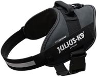 Julius-K9, 16IDC-ANT-2, IDC Powerha