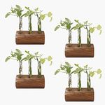 Lazy Gardener Plant Propagation Station | Wooden Test Tube Planter with Stand | Hydroponics Glass Planter for Home & Office Decoration (Set of 4)