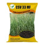 IAgriFarm Csv 33 Mf Fodder Sorghum Seed Powder - 1 Kg - Multicut For Fodder Cultivatoin, Fodder Grass