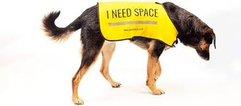 Yellow Dog UK Dog Vest - "I NEED SPACE" (Large)