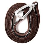 Mighty Paw Leather Dog Leash | 6 Ft