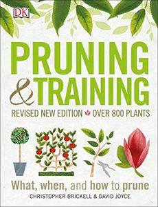 Pruning an