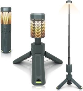 Telescopic