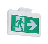 TANLUX Running Man Exit Sign, LED Emergency Exit Light with Battery Backup for 120 minutes, CSA Listed, AC 120/347V, Commercial Emergency Lights for Business