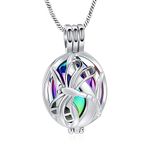 Yinplsmemory Dragonfly Urn Necklace for Ashes for Human/Pet Ashes Stainless Steel Hollow Memorial Locket Pendant Jar Keepsake Cremation Jewelry, Metal, stainless steel