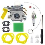 AUTOKAY Carburetor for Homelite Ryobi 26cc 30cc Trimmer Replaces 985624001 308054003 Replaces C1U-H60 Carb with Air Filter