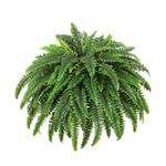 Dkaltm Single Silky Artificial Boston Fern Bush, 49Inch Large Artificial Ferns for Outdoors, Large Faux Ferns Artificial Plants,Suitable for Decorating Office, Living Room Faux Greenery,95Branches