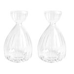 2Pcs Avocado Seed Starter Vase, Avocado Tree Flower Vases Pot for Growing Planter, Avocado Tree Growing Kit Glass Hydroponic Vases Seed Plant Vase for Gardening Lover (Clear)