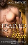 Trained for Him: Fantasy BDSM MMM Menage (The Naissus Slave Chronicles Book 2)