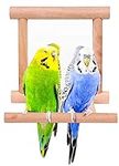Blessed family Bird Parakeet Mirror