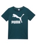 Puma Boy's Printed Regular Fit T-Shirt (630788_Cold Green
