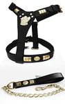 Pets2Care STAFF STAFFIE STAFFORDSHIRE BULL TERRIER DOG HARNESS AND CHAIN LEAD BLACK & BROWN BRASS (BLACK)